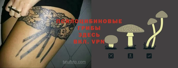 2c-b Струнино